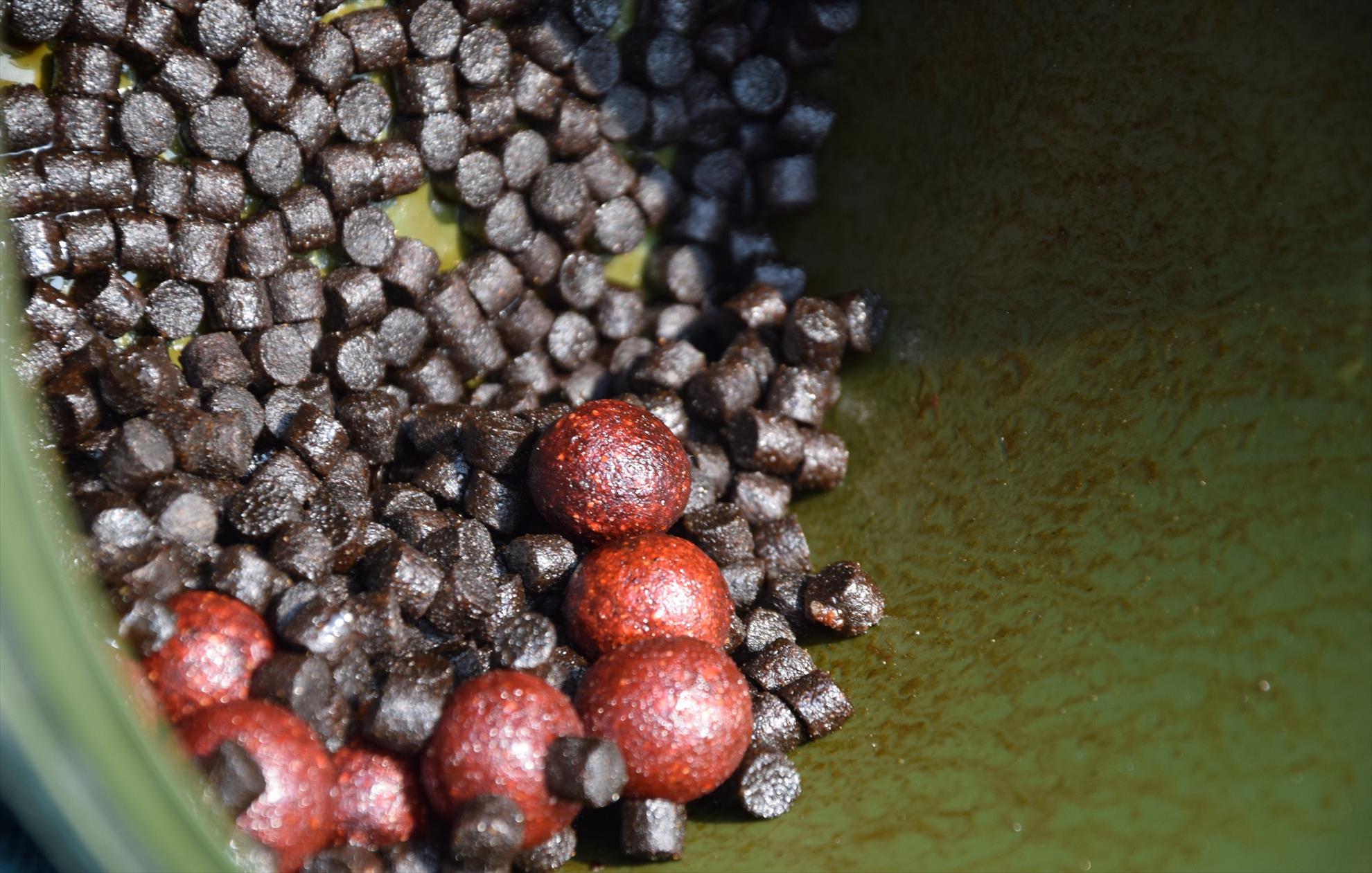 Toamna. Vremea s-a racit brusc? Cuvantul de ordine, PROTEINA!